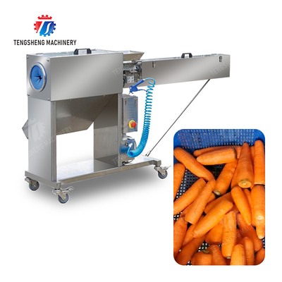 Corrat peeling machine Carrot processing production Destoning Supplying Peeling & polishing