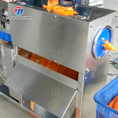 Corrat peeling machine Carrot processing production Destoning Supplying Peeling & polishing