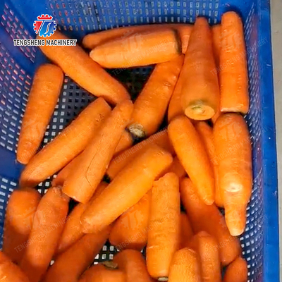 Corrat peeling machine Carrot processing production Destoning Supplying Peeling & polishing