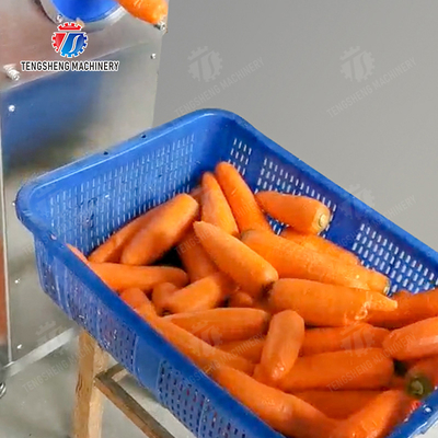 Corrat peeling machine Carrot processing production Destoning Supplying Peeling & polishing