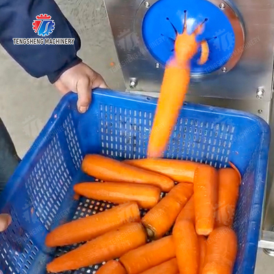 Corrat peeling machine Carrot processing production Destoning Supplying Peeling & polishing