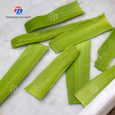 Aloe peeling machine processing production Peeling Machine
