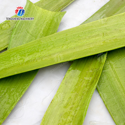 Aloe peeling machine processing production Peeling Machine