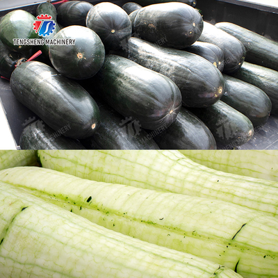 Large winter melon peeling machine papaya chieh-qua pumpkin wax gourd pineapple watermelon Hami Melon processing production Peeling & polishing