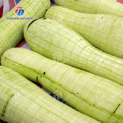 Large winter melon peeling machine papaya chieh-qua pumpkin wax gourd pineapple watermelon Hami Melon processing production Peeling & polishing