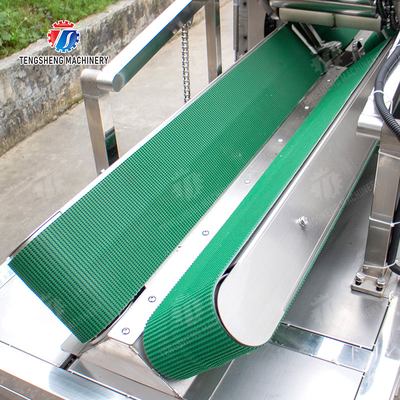 Large winter melon peeling machine papaya chieh-qua pumpkin wax gourd pineapple watermelon Hami Melon processing production Peeling & polishing