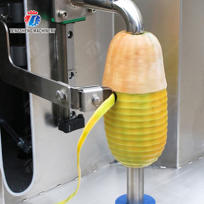 Melon and fruit double-head with single cutter peeling machine papaya chieh-qua pumpkin wax gourd Peeling & polishing