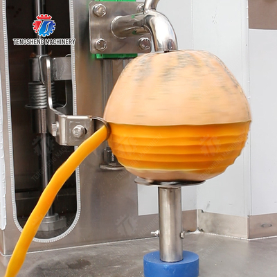 Melon and fruit double-head with single cutter peeling machine papaya chieh-qua pumpkin wax gourd Peeling & polishing
