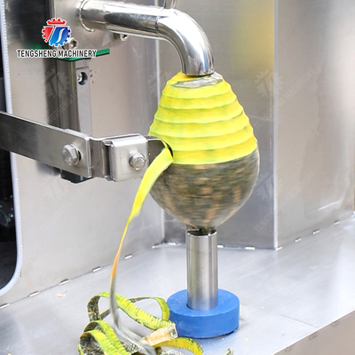 Melon and fruit double-head with single cutter peeling machine papaya chieh-qua pumpkin wax gourd Peeling & polishing