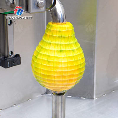 Melon and fruit double-head with single cutter peeling machine papaya chieh-qua pumpkin wax gourd Peeling & polishing