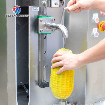 Melon and fruit double-head with single cutter peeling machine papaya chieh-qua pumpkin wax gourd Peeling & polishing