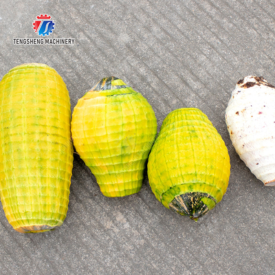 Melon and fruit double-head with single cutter peeling machine papaya chieh-qua pumpkin wax gourd Peeling & polishing