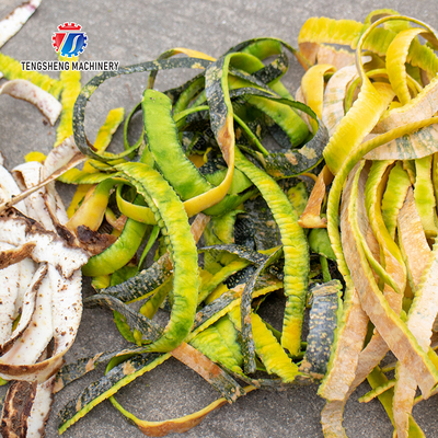 Melon and fruit double-head with single cutter peeling machine papaya chieh-qua pumpkin wax gourd Peeling & polishing
