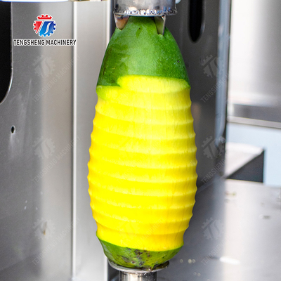 Technology Fruit And Vegetable Processing Line for Silver Processing