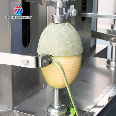 Technology Fruit And Vegetable Processing Line for Silver Processing