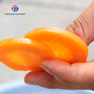 Potato Carrot cucumber balsam pear Desktop Vegetable Cutter Vegetable processing production Cutting Machine