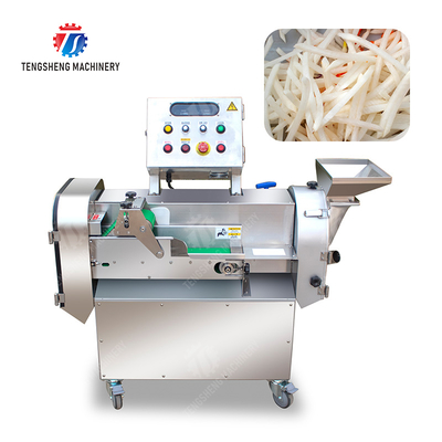2025 Fruit And Vegetable Processing Line Perfect for Large-Scale Production