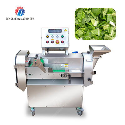 2025 Fruit And Vegetable Processing Line Perfect for Large-Scale Production