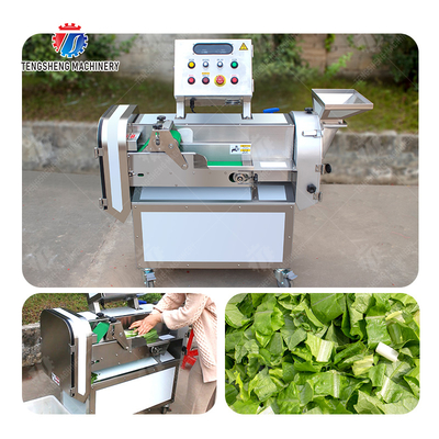2025 Fruit And Vegetable Processing Line Perfect for Large-Scale Production