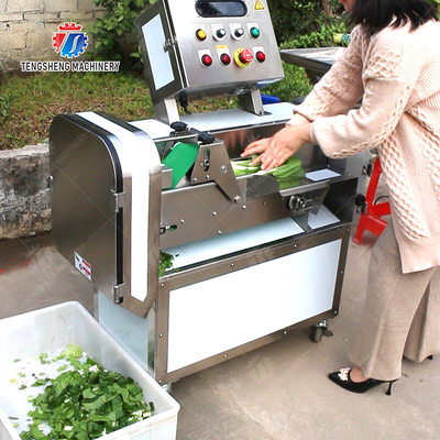 2025 Fruit And Vegetable Processing Line Perfect for Large-Scale Production