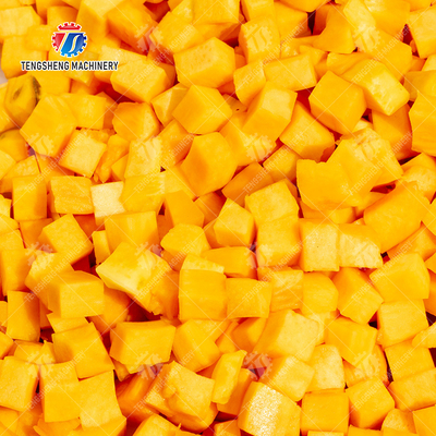 2025 Fruit And Vegetable Processing Line Perfect for Large-Scale Production