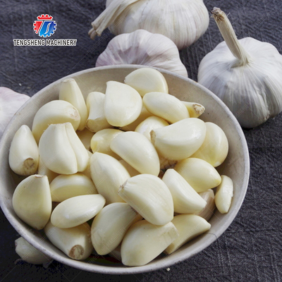 Get the Best Results with Our Fruit And Vegetable Processing Equipment