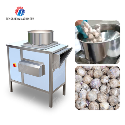 Get the Best Results with Our Fruit And Vegetable Processing Equipment