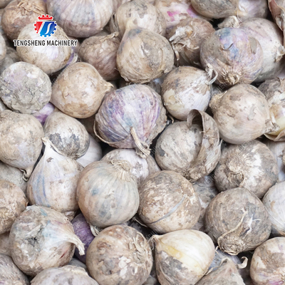 Get the Best Results with Our Fruit And Vegetable Processing Equipment