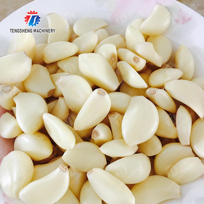 Get the Best Results with Our Fruit And Vegetable Processing Equipment