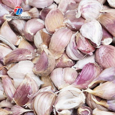 Get the Best Results with Our Fruit And Vegetable Processing Equipment