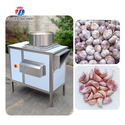 Get the Best Results with Our Fruit And Vegetable Processing Equipment