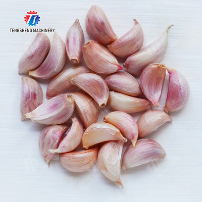 Get the Best Results with Our Fruit And Vegetable Processing Equipment