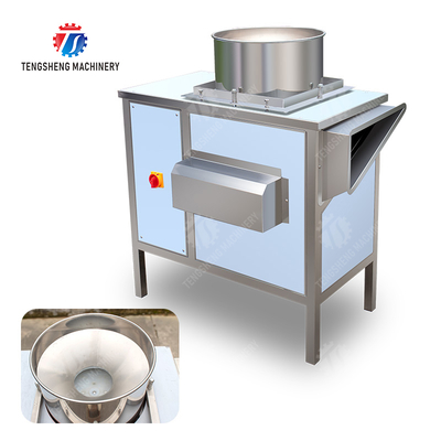 Get the Best Results with Our Fruit And Vegetable Processing Equipment