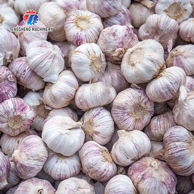 Get the Best Results with Our Fruit And Vegetable Processing Equipment