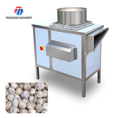 Get the Best Results with Our Fruit And Vegetable Processing Equipment