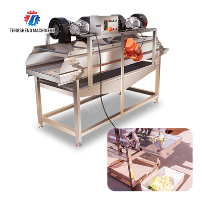 Advanced and Top- Fruit And Vegetable Processing Line for 2025 Apply to Fruit And Vegetable And MEAT