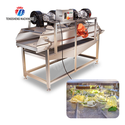 Advanced and Top- Fruit And Vegetable Processing Line for 2025 Apply to Fruit And Vegetable And MEAT
