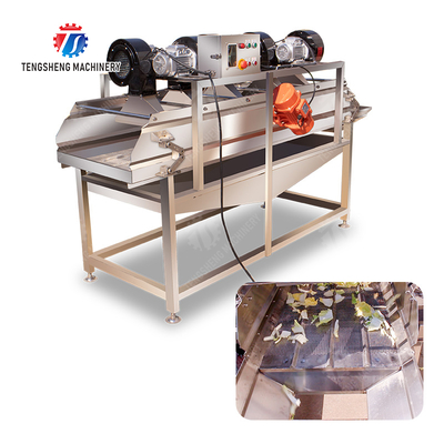 Advanced and Top- Fruit And Vegetable Processing Line for 2025 Apply to Fruit And Vegetable And MEAT