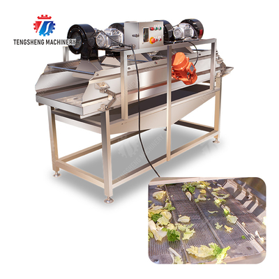 Advanced and Top- Fruit And Vegetable Processing Line for 2025 Apply to Fruit And Vegetable And MEAT