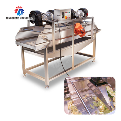 Advanced and Top- Fruit And Vegetable Processing Line for 2025 Apply to Fruit And Vegetable And MEAT