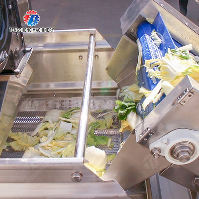 Advanced and Top- Fruit And Vegetable Processing Line for 2025 Apply to Fruit And Vegetable And MEAT