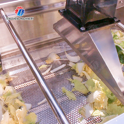 Advanced and Top- Fruit And Vegetable Processing Line for 2025 Apply to Fruit And Vegetable And MEAT