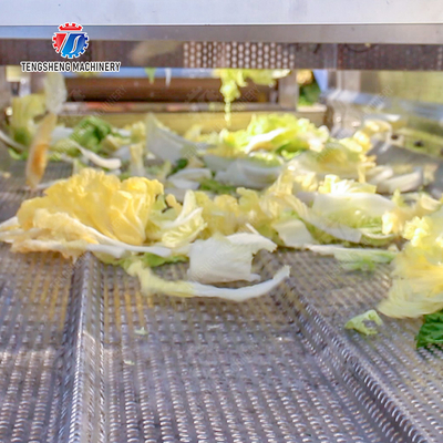 Advanced and Top- Fruit And Vegetable Processing Line for 2025 Apply to Fruit And Vegetable And MEAT