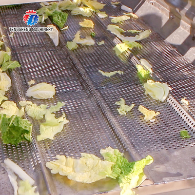 Advanced and Top- Fruit And Vegetable Processing Line for 2025 Apply to Fruit And Vegetable And MEAT