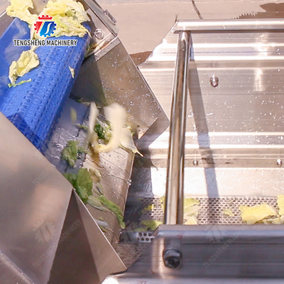 Advanced and Top- Fruit And Vegetable Processing Line for 2025 Apply to Fruit And Vegetable And MEAT