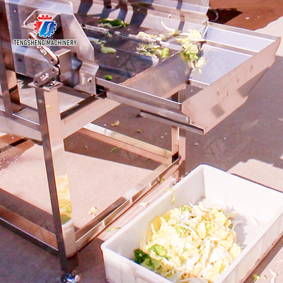 Advanced and Top- Fruit And Vegetable Processing Line for 2025 Apply to Fruit And Vegetable And MEAT