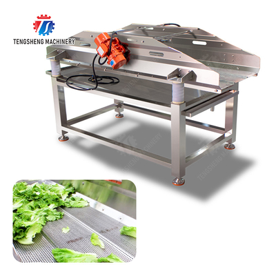 State-of-the-Art Fruit And Vegetable Processing Machine for 2025 Final Product