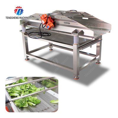 State-of-the-Art Fruit And Vegetable Processing Machine for 2025 Final Product