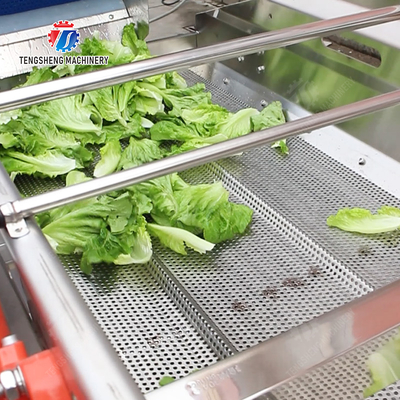 State-of-the-Art Fruit And Vegetable Processing Machine for 2025 Final Product