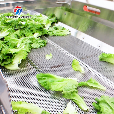 State-of-the-Art Fruit And Vegetable Processing Machine for 2025 Final Product